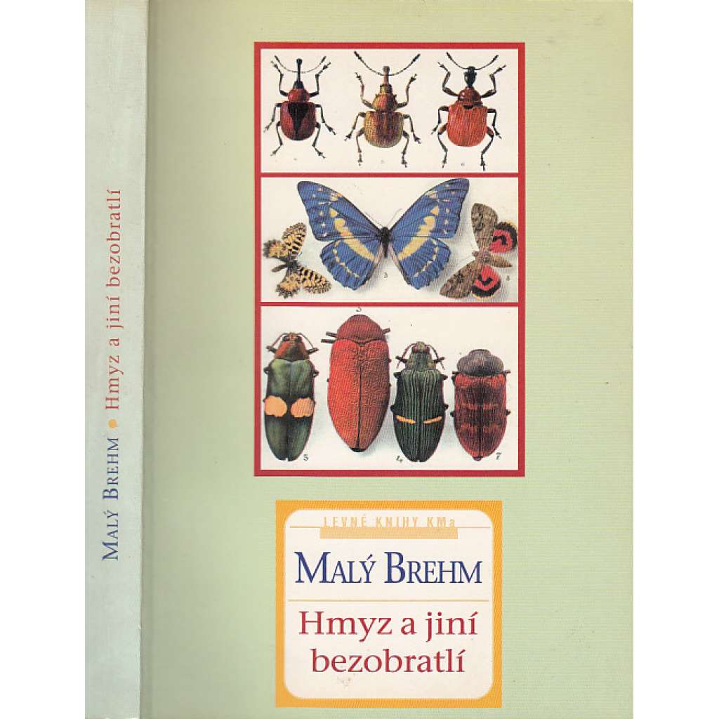 Malý Brehm - Hmyz a jiní bezobratlí