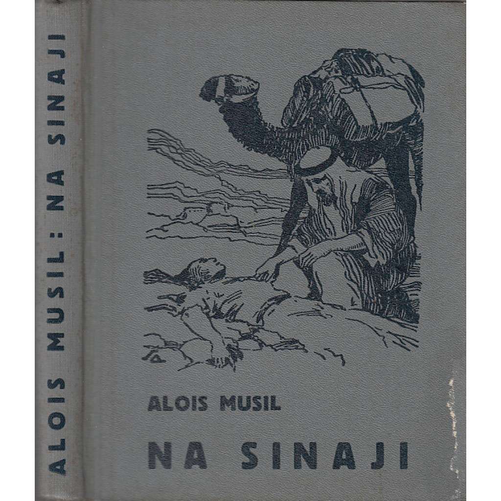 Na Sinaji