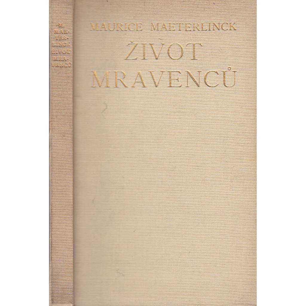 Život mravenců