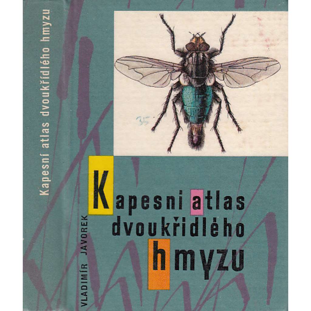 Kapesní atlas dvoukřídlého hmyzu (hmyz)