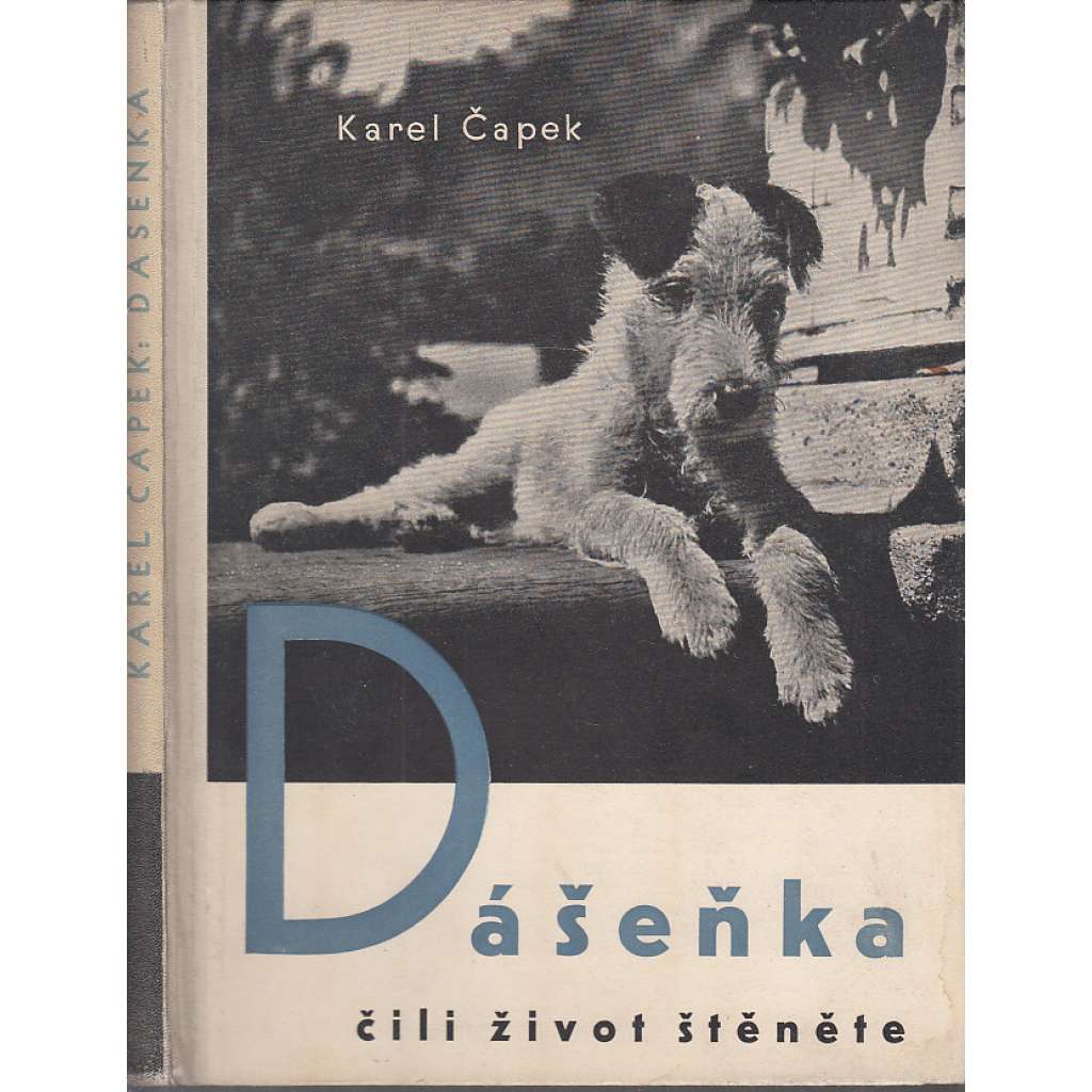 Dášeňka čili život štěněte