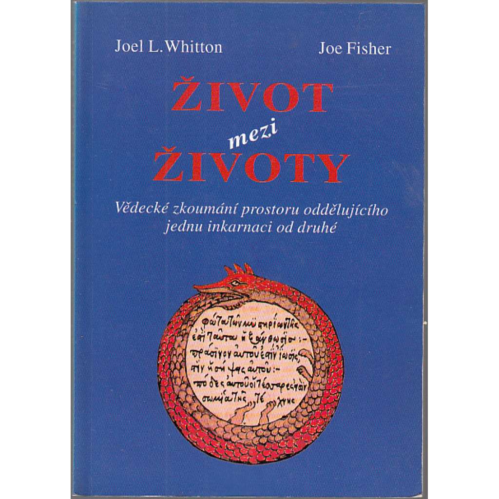 Život mezi životy