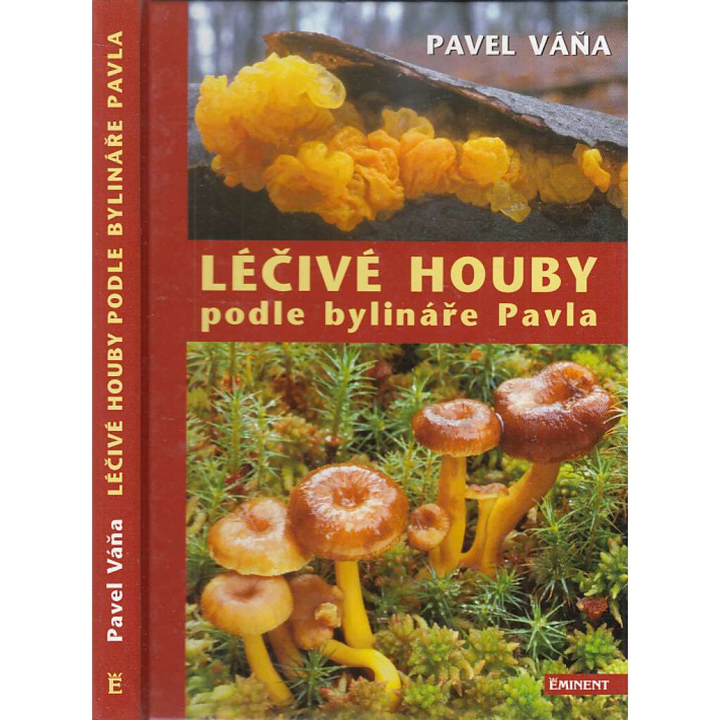 Léčivé houby podle bylináře Pavla