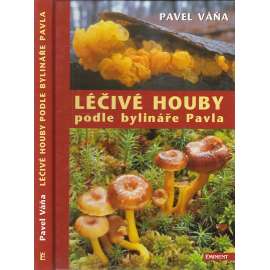 Léčivé houby podle bylináře Pavla