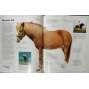 Velká kniha o koních - (encyklopedie koní, kůň, koně)