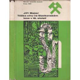 Těžba cínu ve Slavkovském lese v 16. století [hutnictví, kovy, Krásno a Horní Slavkov, Slavkovský les]