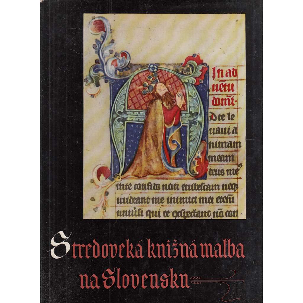Stredoveká knižná malba na Slovensku [knižní iluminace, středověk, Slovensko]