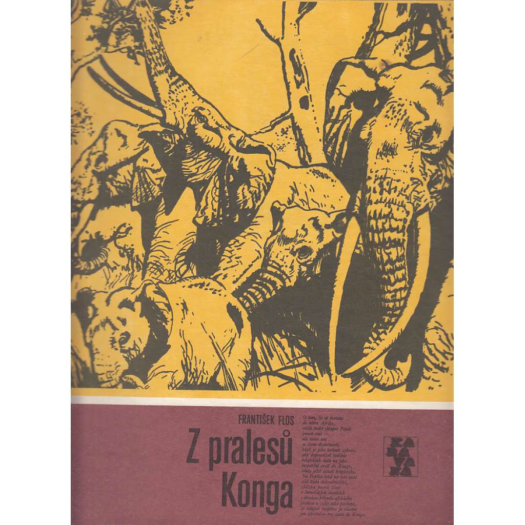 Z pralesů Konga (Karavana, svazek 156)