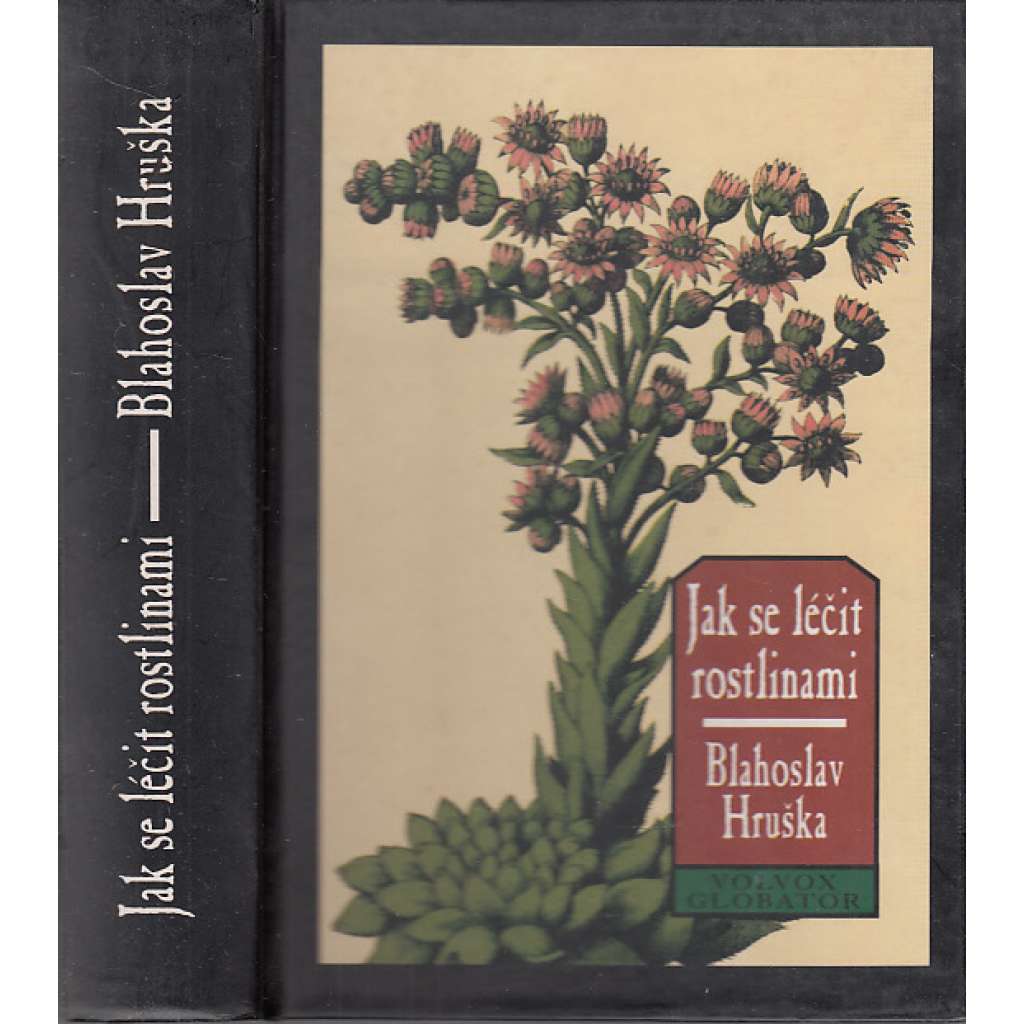 Jak se léčit rostlinami (herbář, byliny, léčení)