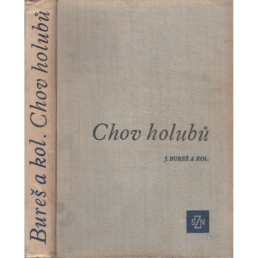 Chov holubů (holubi)