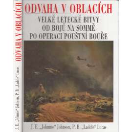 Odvaha v oblacích (Velké letecké bitvy od bojů na Sommě po operaci Pouštní bouře) [letadla, vojenské letectvo, letectví]