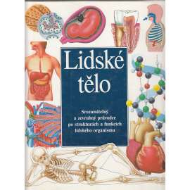 Lidské tělo [průvodce po strukturách a funkcích lidského organismu, anatomie pro děti; člověk]