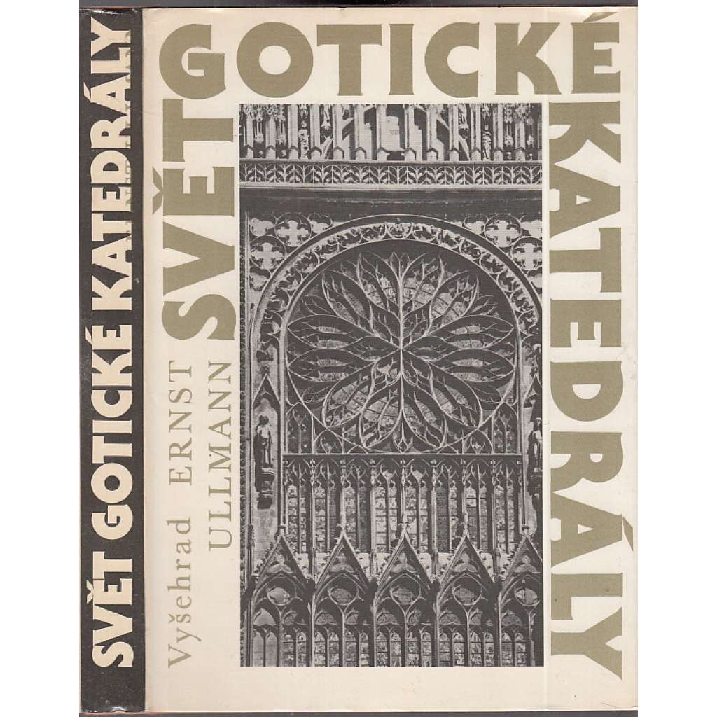 Svět gotické katedrály [katedrála, středověká architektura, kostel, gotika, dóm]
