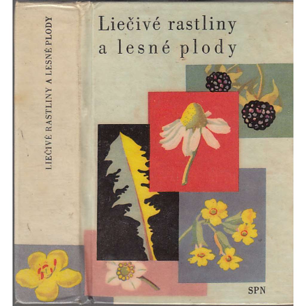 Liečivé rastliny a lesné plody