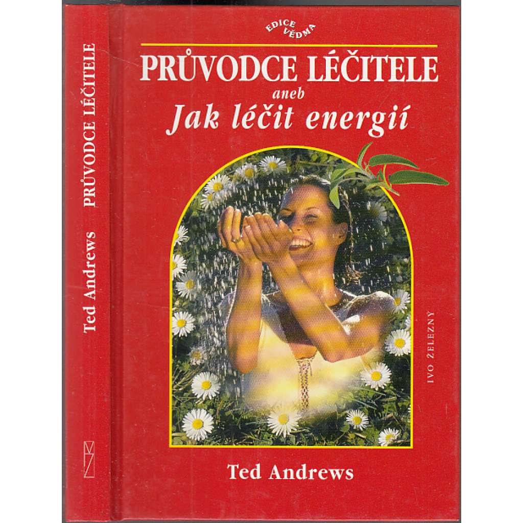 Průvodce léčitele aneb Jak léčit energií