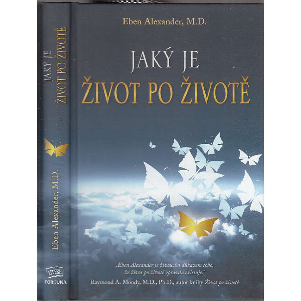 Jaký je život po životě