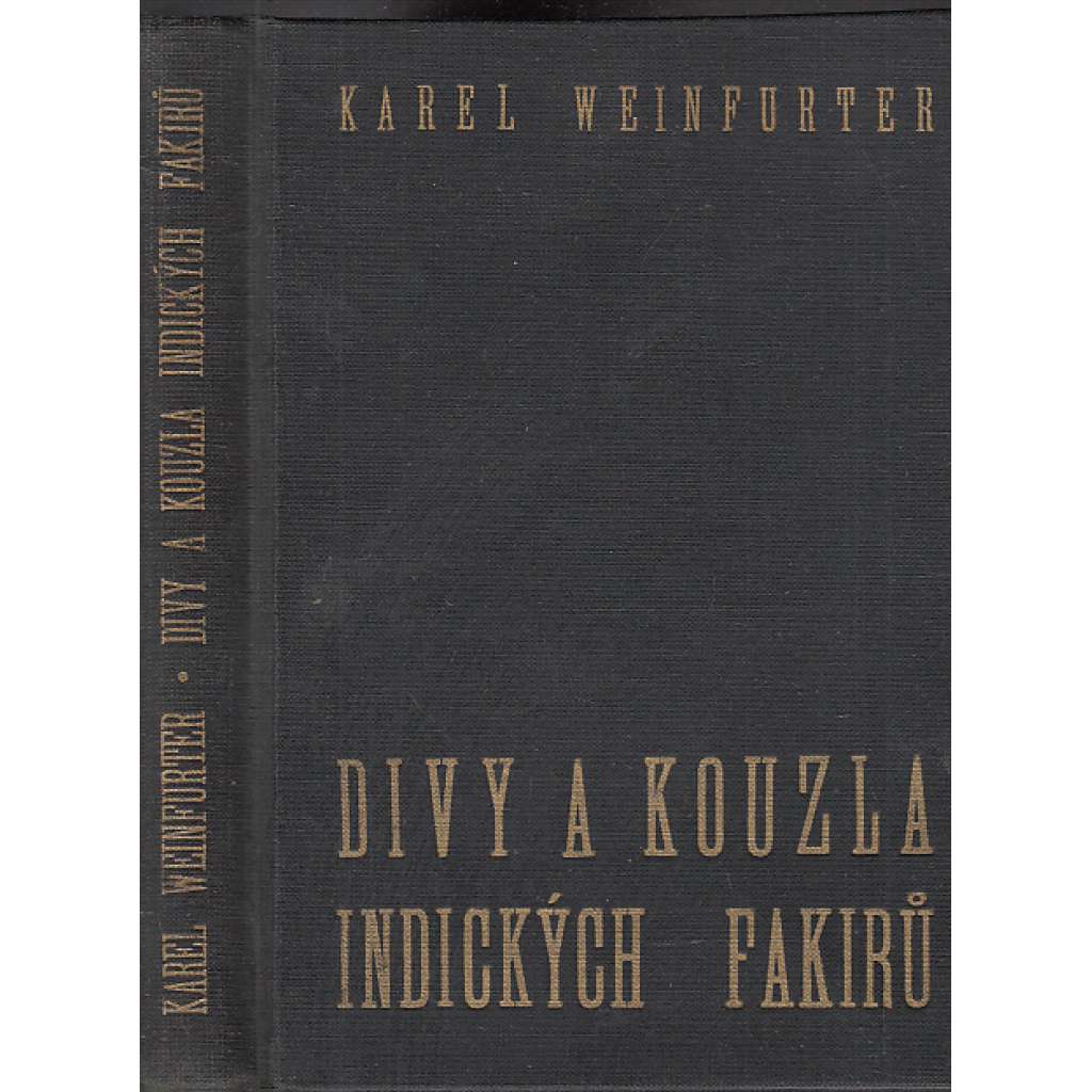 Divy a kouzla indických fakírů-Studie o fakirismu a jogismu