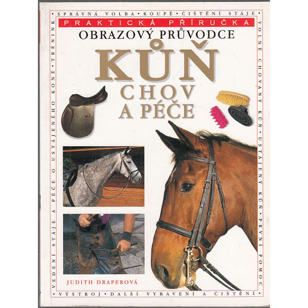 Kůň a péče o něj