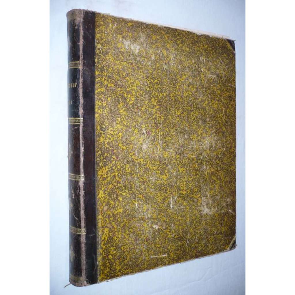 Světozor - ročník 25 /1891 (časopis, kultura, beletrie, poezie, mj. A. Sova - Vánoce, J. Vrchlický - Lotos, K. Rais -  Zlý člověk, Jan Neruda pohřeb, Jubilejní výstava 1891 Praha, ilustrace Čermák, Marold, Mucha)