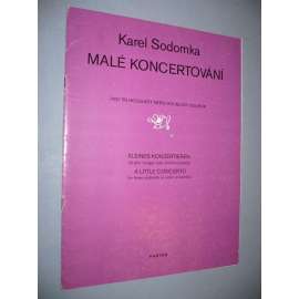 Malé koncertování