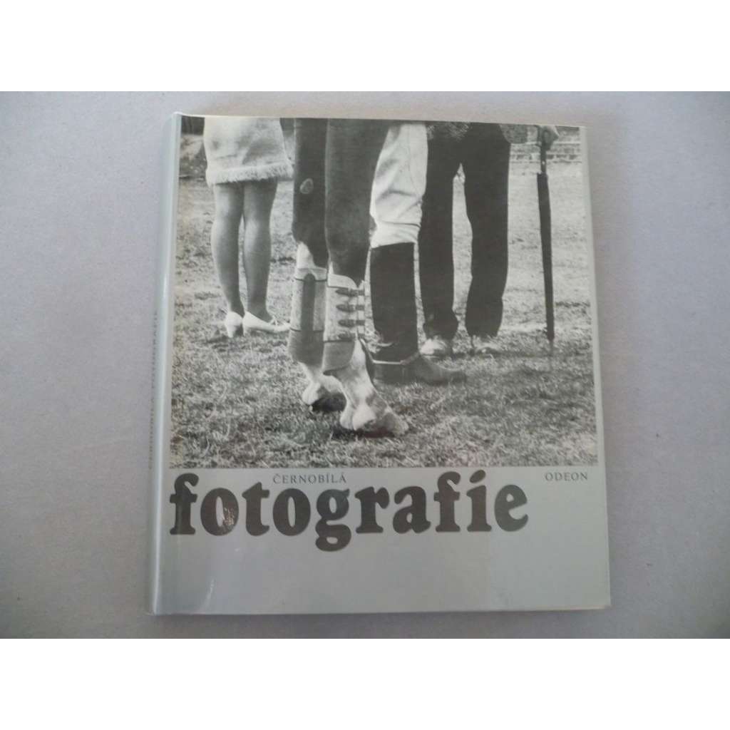 Černobílá fotografie [fotografové, medailonky fotografů, umělecká foto, mj. Jan Saudek, Chochola, Medková, Birgus, Holomíček, Hochová, Reich, Reichmann, Rossler ad.]