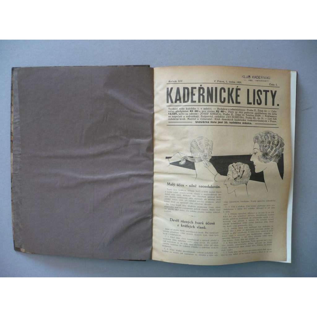 Kadeřnické listy, roč.14 (1926) [kadeřnictví, účes, vlasy, kadeřník, holič, vlásenkář, účesy, móda, stříhání a úprava vlasů]