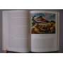 American painting. The Twentieth century