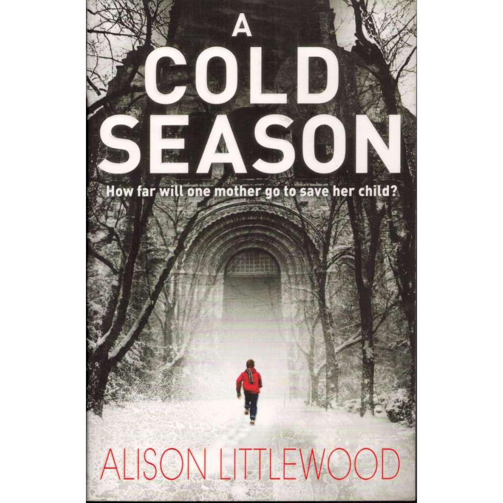 A Cold Season. How far will one mother go to save her child? (A novel)