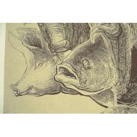 Rok kohouta/ PF 1993 litografie Boris Nosek podpis