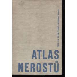 Atlas nerostů (edice: Pomocné knihy pro učitele) [příroda, nerosty, minerály, výskyt]