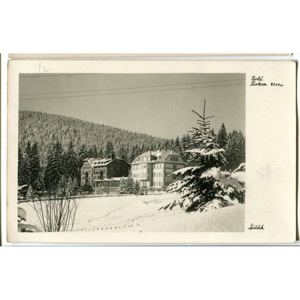 Špičák, Železná Ruda, Klatovy, Šumava