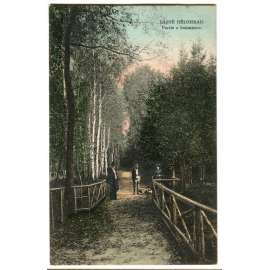 Lázně Bělohrad, Jičín, bažantnice