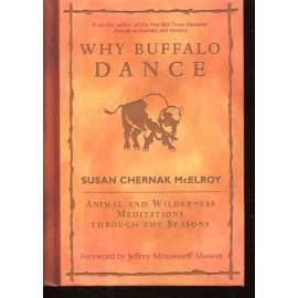 Why Buffalo Dance
