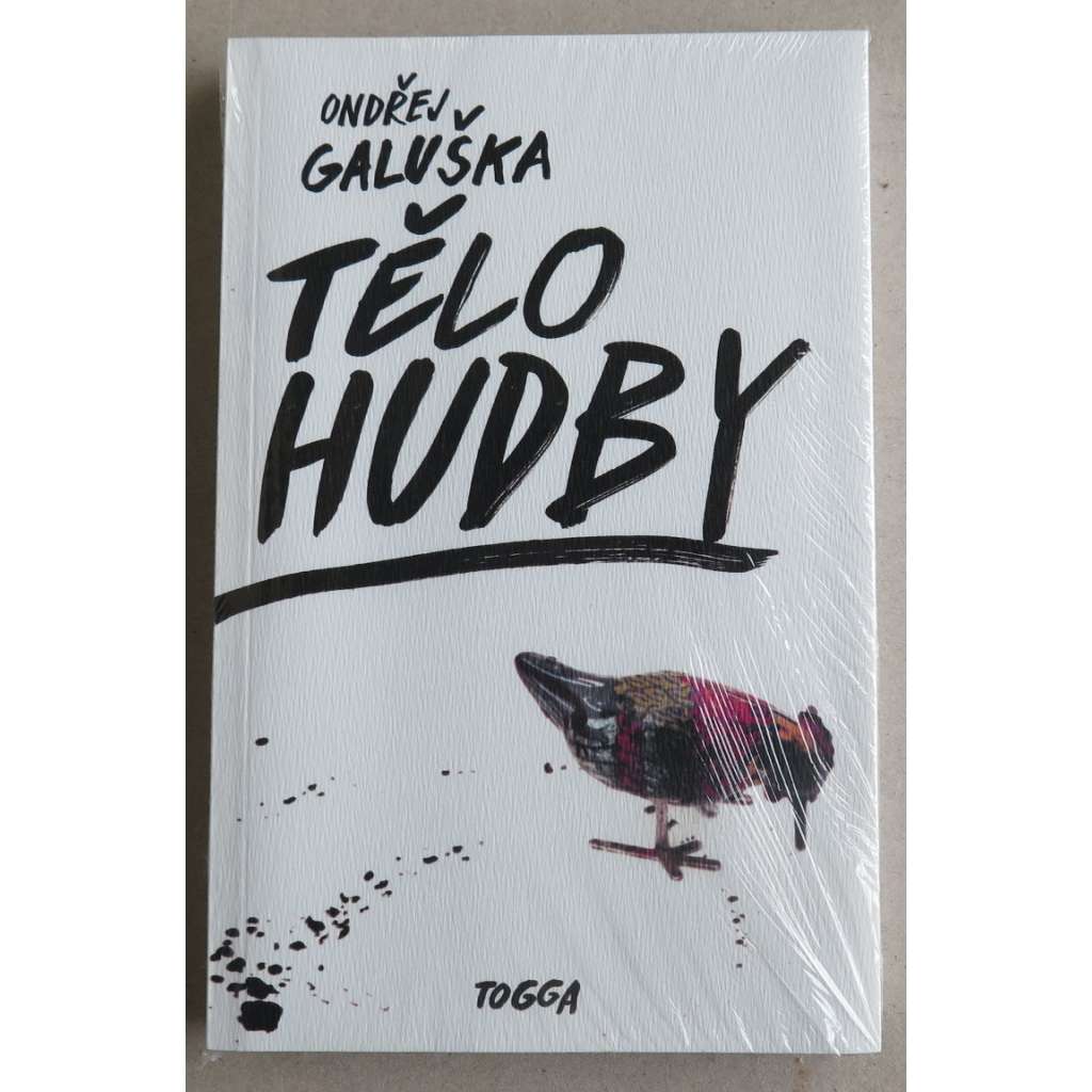 Tělo hudby