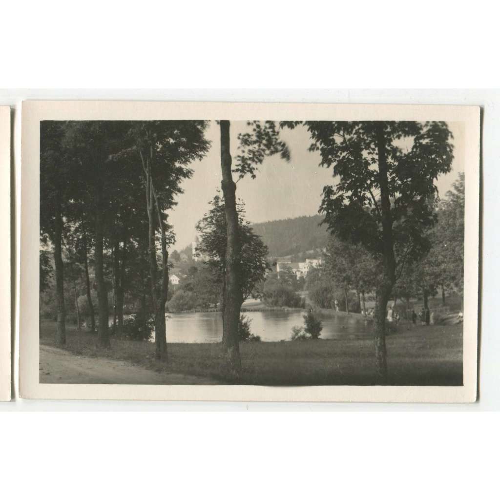 Olešnice v Orlických horách, Rychnov nad Kněžnou