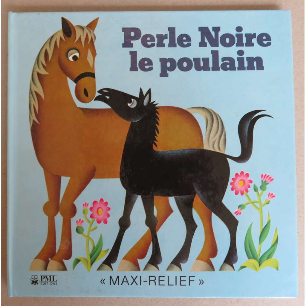 Perle Noire le poulain