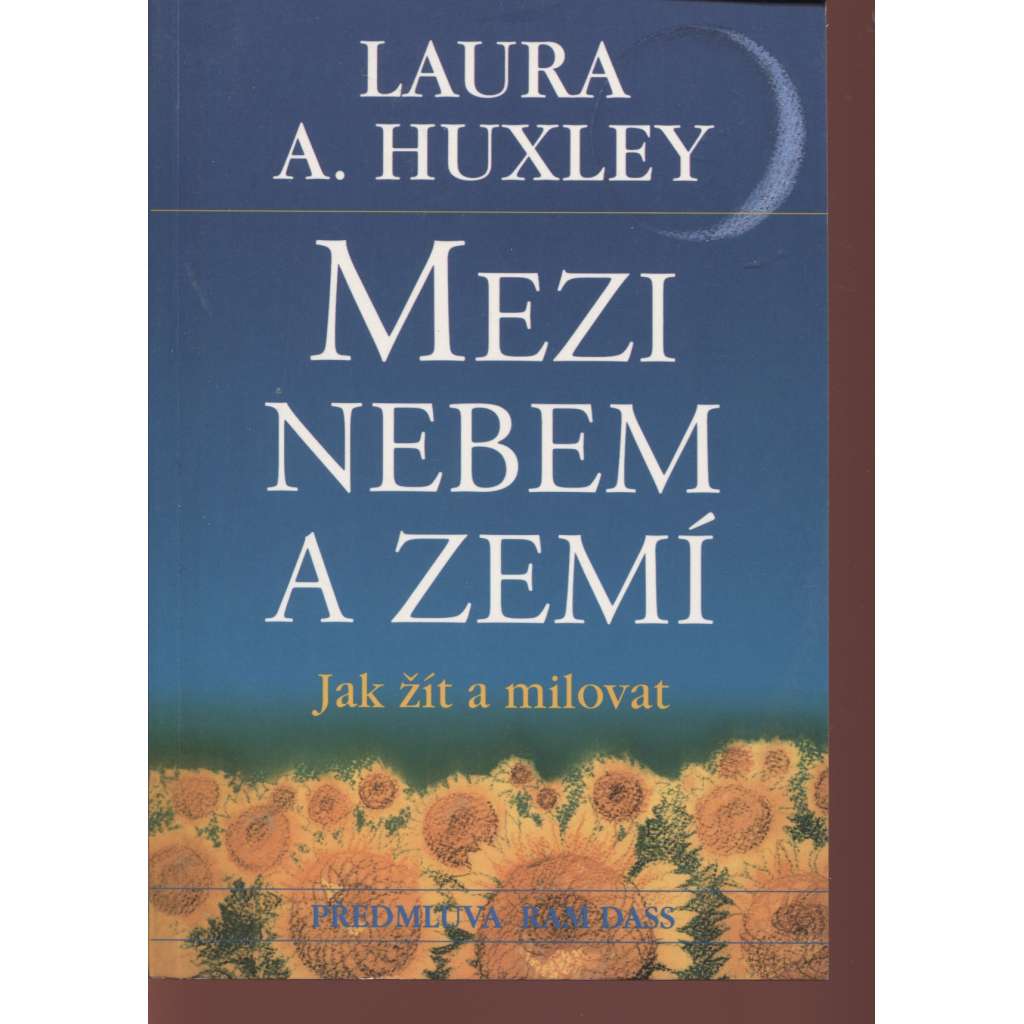 Mezi nebem a zemí