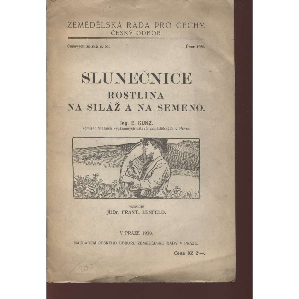 Slunečnice. Rostlina na siláž a na semeno