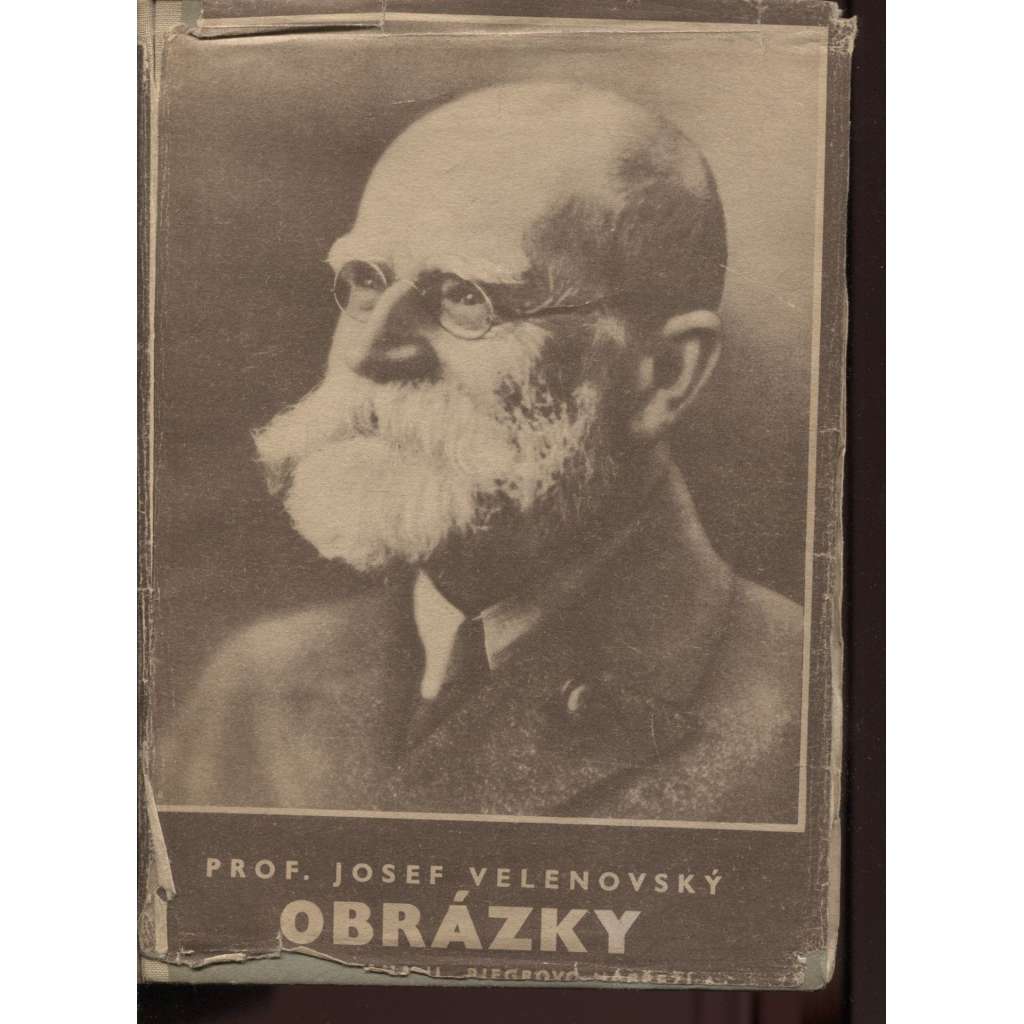 Obrázky