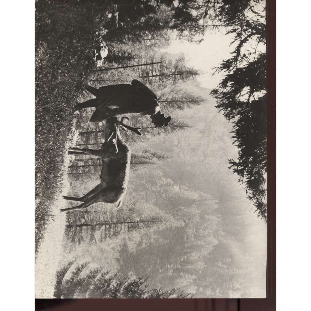Fotoska - film Lesník ze Stříbrného lesa (A. Stummer)