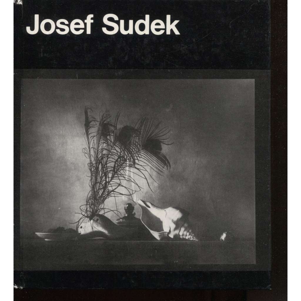 Josef Sudek (NDR, text německy)