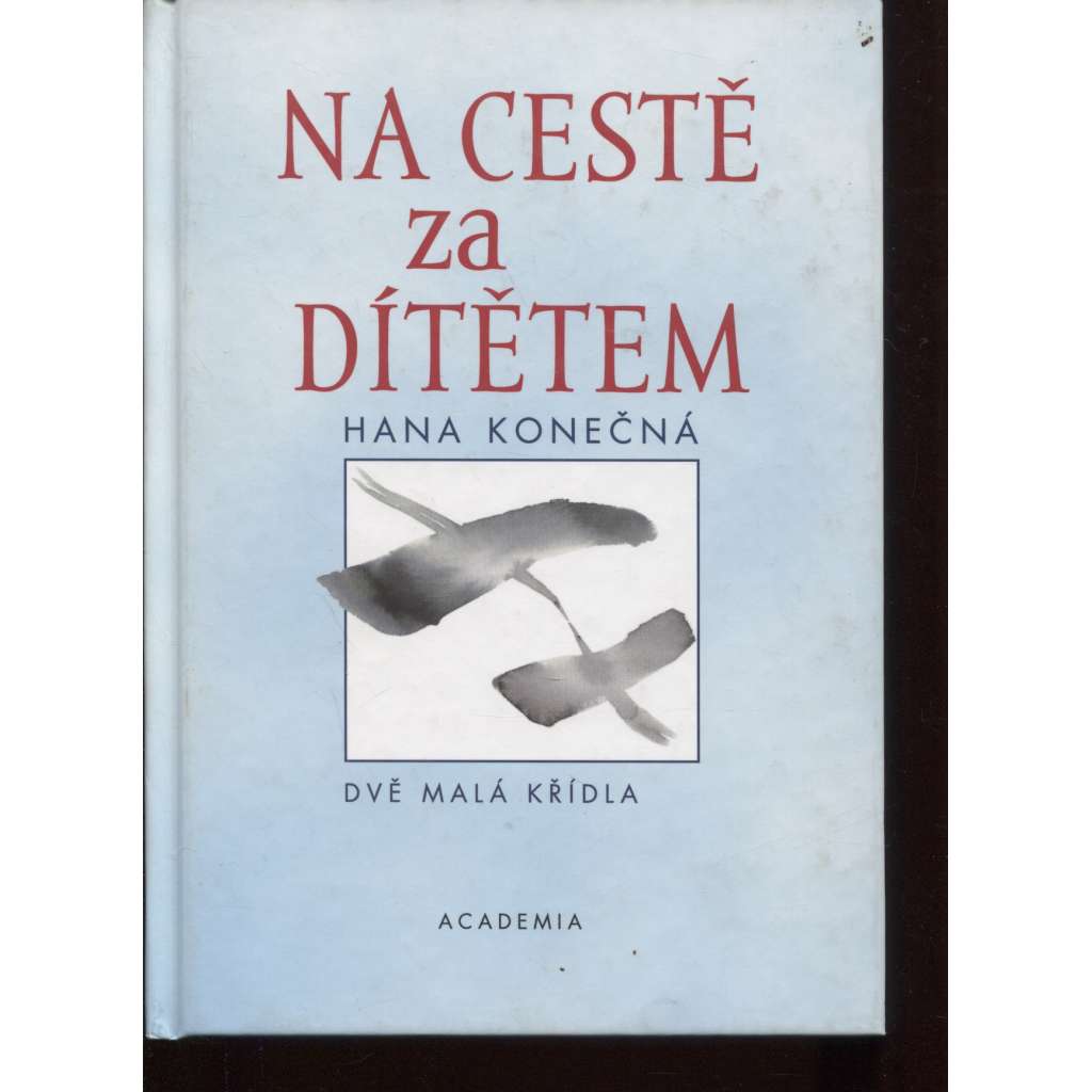 Na cestě za dítětem. Dvě malá křídla