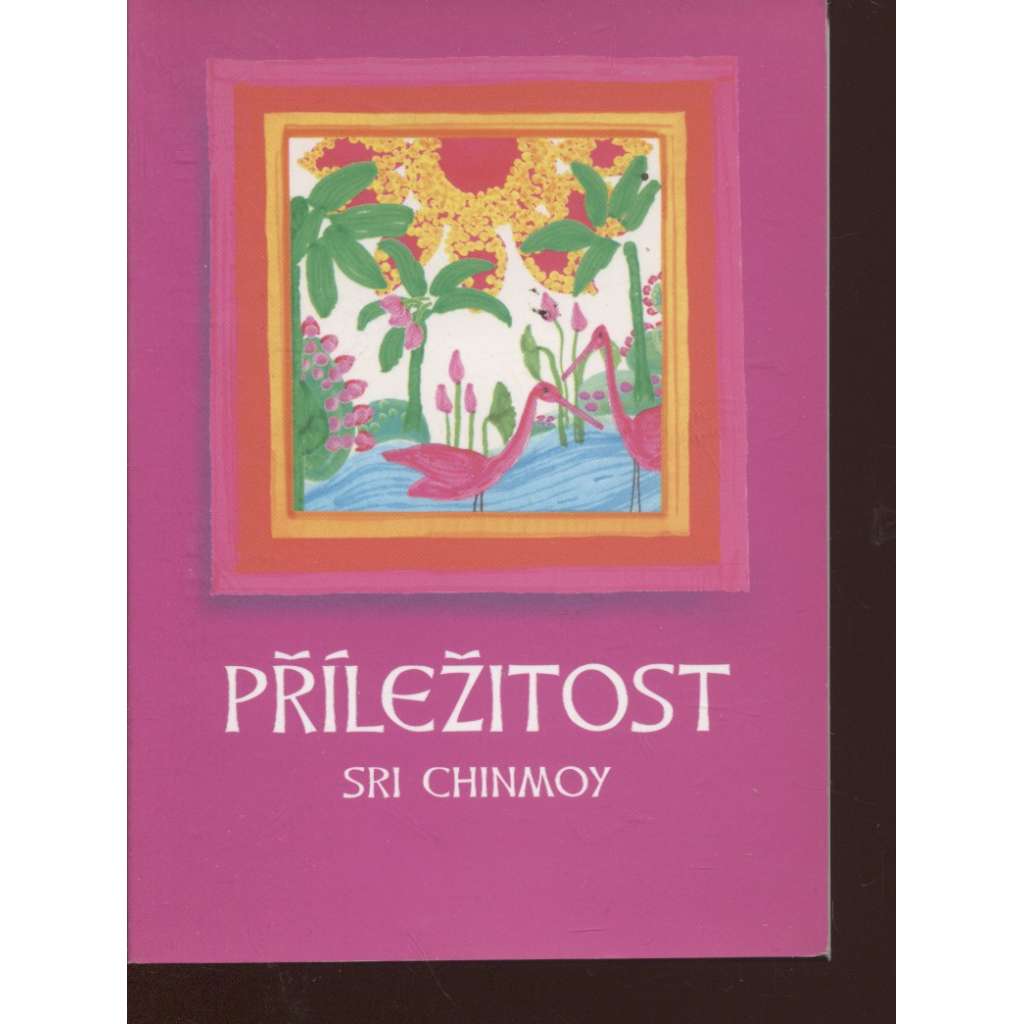 Příležitost