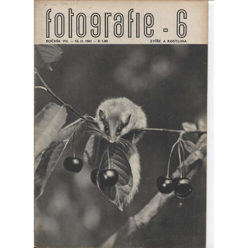 Časopis Fotografie, ročník VII., číslo 6/1941