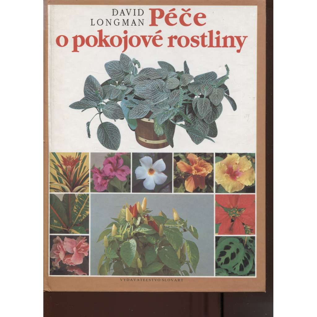 Péče o pokojové rostliny [květiny ]