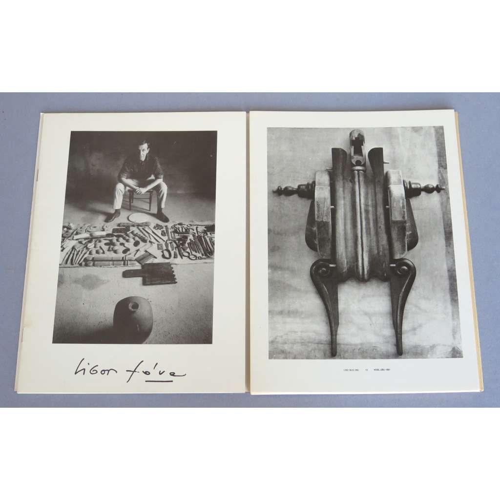 Libor Fára 1925-1988 [surrealismus; umění; katalog Nancy]
