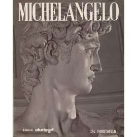 Michelangelo (text německy)