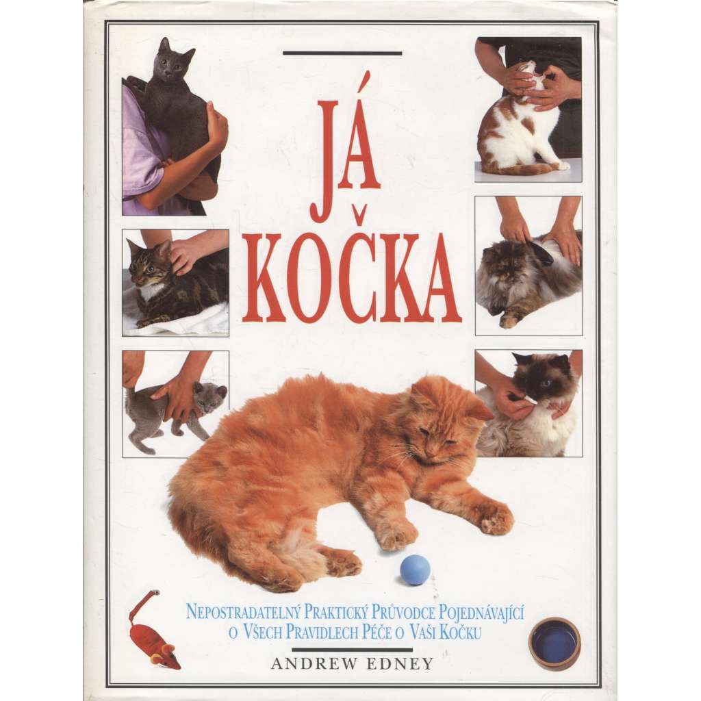 Já kočka