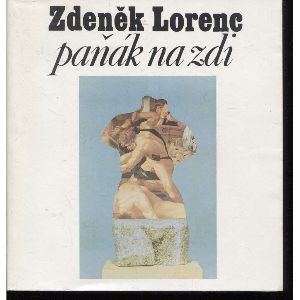 Paňák na zdi (poezie)