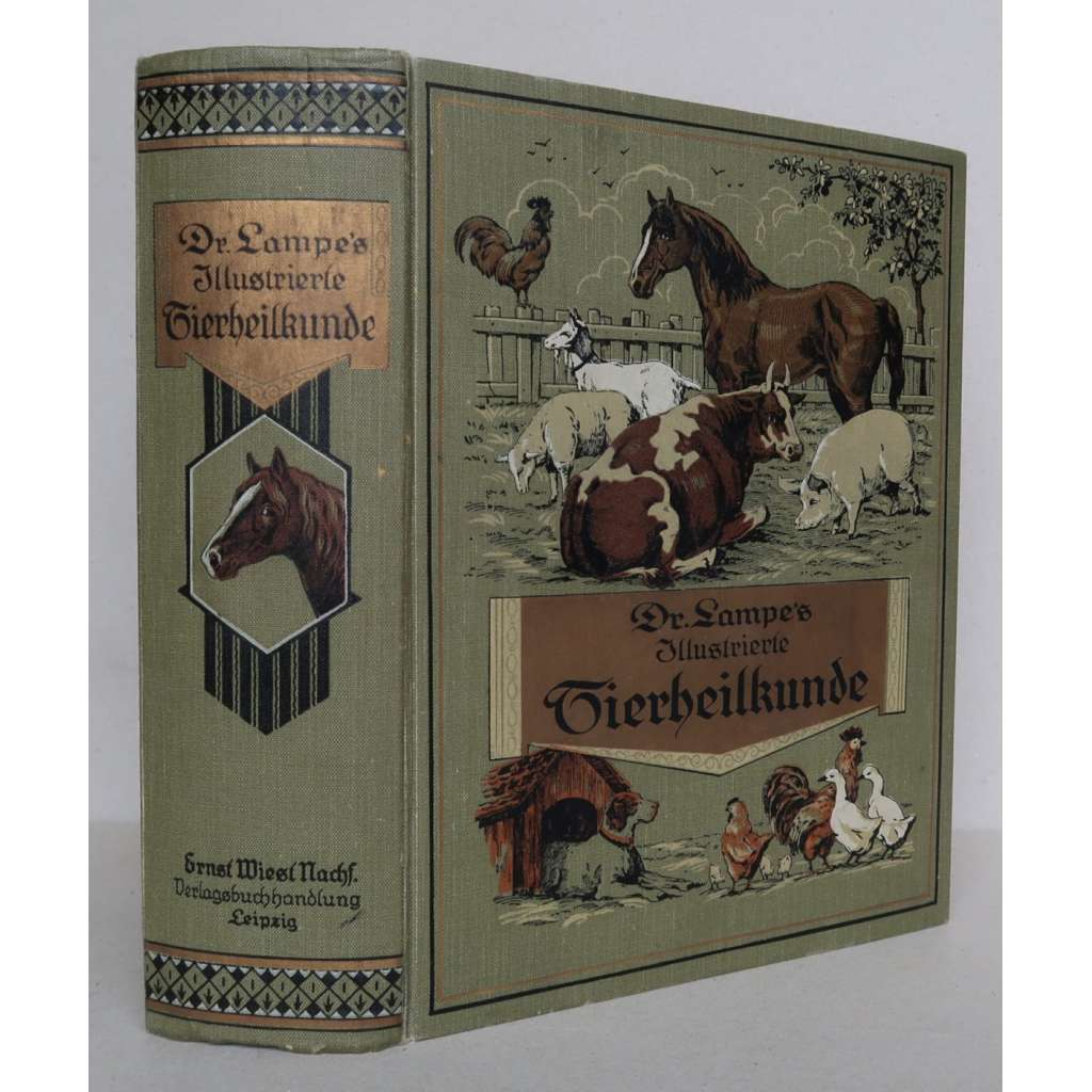 Dr. Lampe's Illustrierte Tierheilkunde: Populäres Handbuch der Anatomie, Gesundheitspflege, Zucht, Geburtshilfe, des Hufbeschlags usw. unserer Haustiere [Veterinární lékařství, domácí zvířata, chov zvířat ]HOL